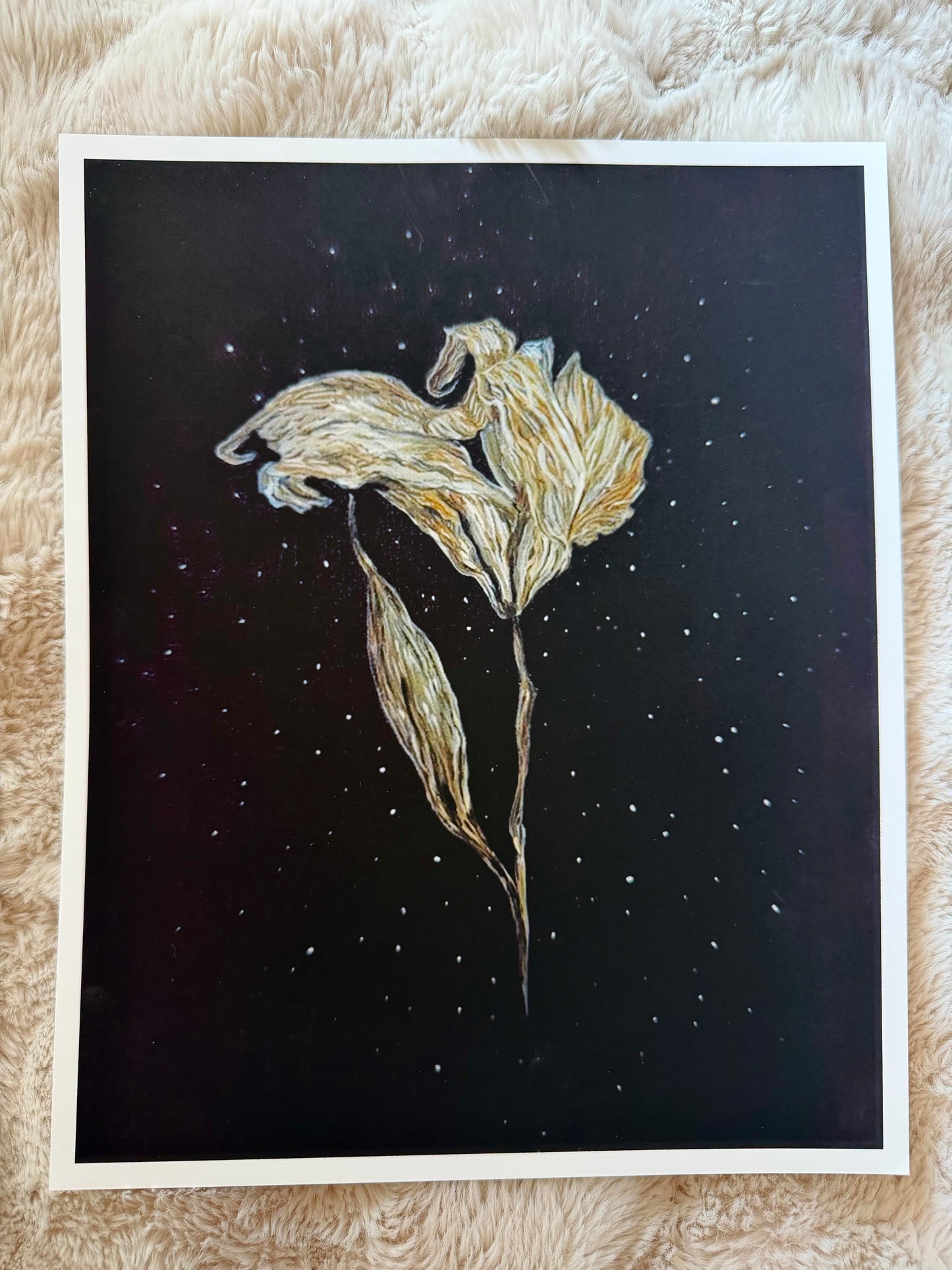 Space Lily — Archival Fine Art Print