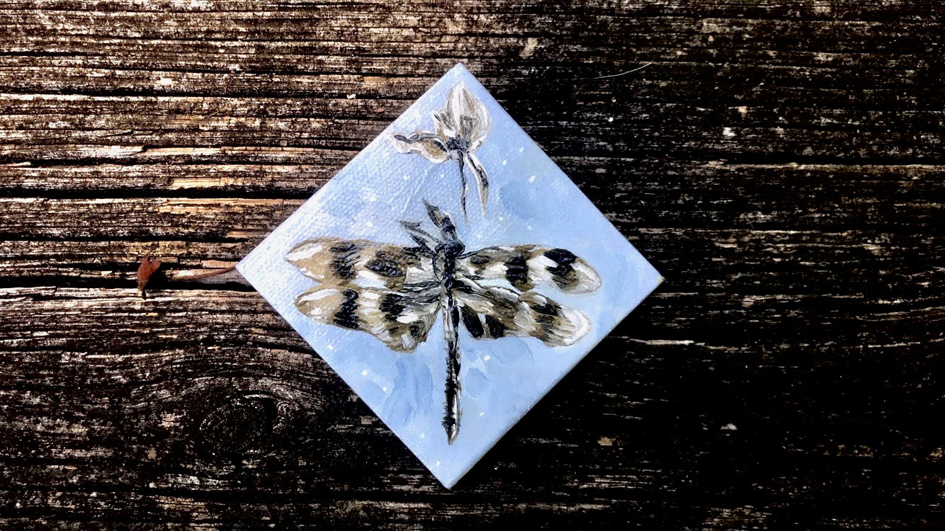 Dragonfly in my Dream Original Painting