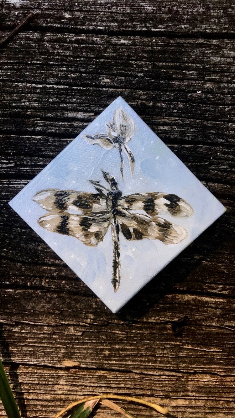 Dragonfly in my Dream Original Painting