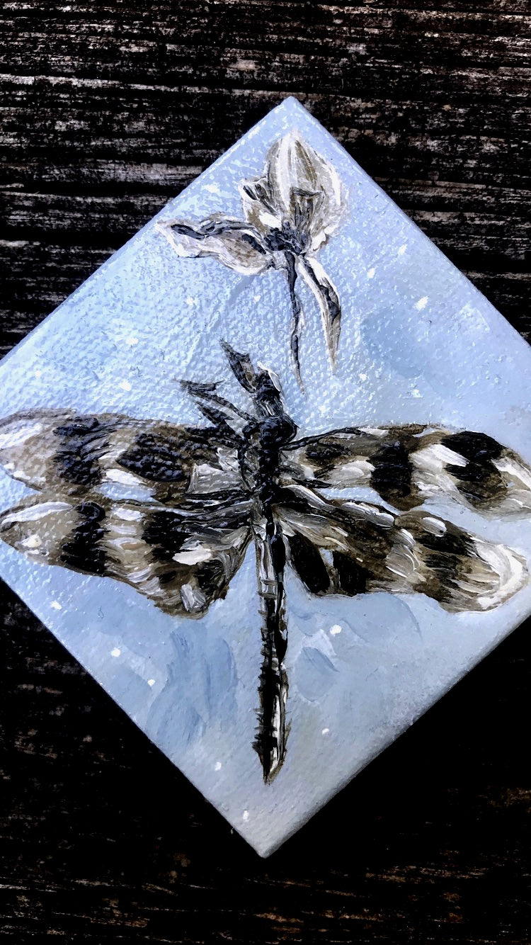Dragonfly in my Dream Original Painting