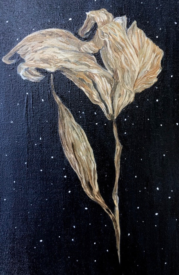 "Space Lily" Original oil painting 11x14 Art by Jessica Gallardo