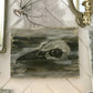Raven Skull Study oil painting, fine art wall decor – realistic study of a raven's skull on canvas, original painting on canvas with intricate details, perfect for nature-inspired interiors and gothic home decor.