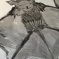 Batty Original India Ink Painting