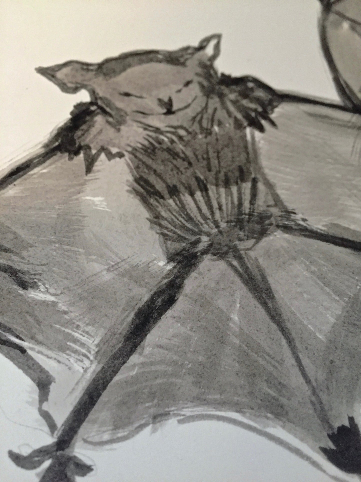 Batty Original India Ink Painting