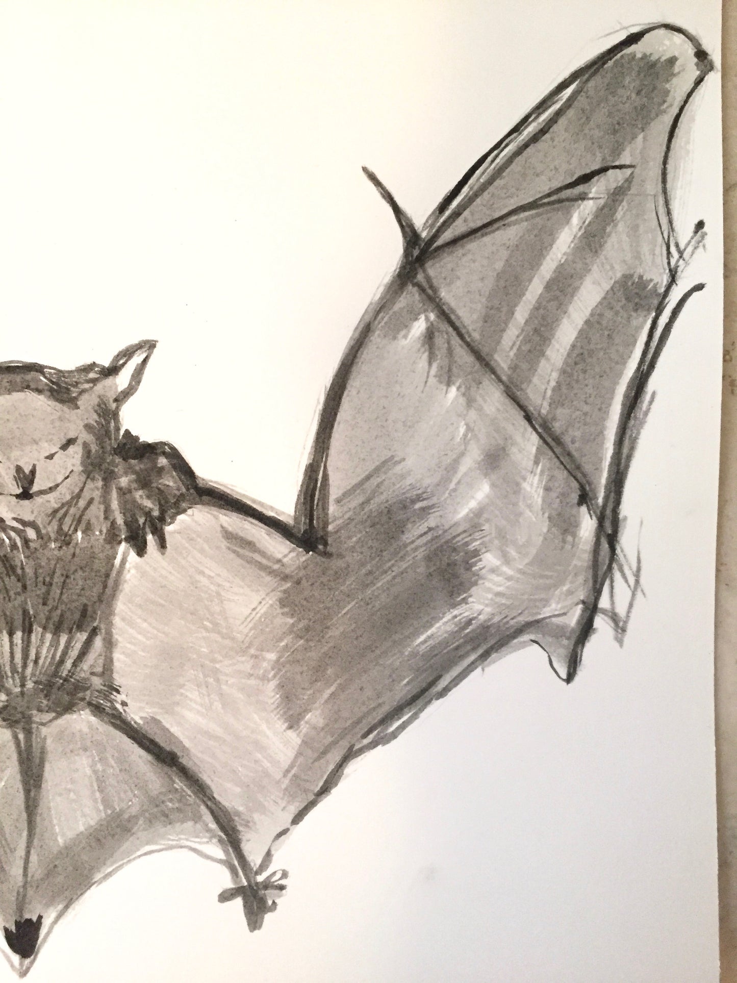 Batty Original India Ink Painting