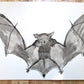 Batty Original India Ink Painting