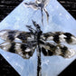 Dragonfly in my Dream Original Painting