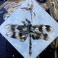 Dragonfly in my Dream Original Painting