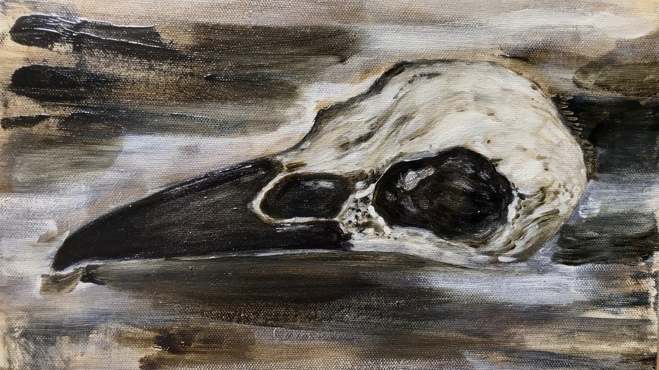 Raven Skull Study Original Oil Painting