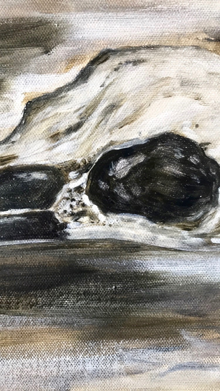 Raven Skull Study Original Oil Painting