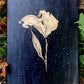 "Space Lily" Original oil painting 11x14 Art by Jessica Gallardo