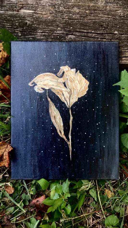 "Space Lily" Original oil painting 11x14 Art by Jessica Gallardo