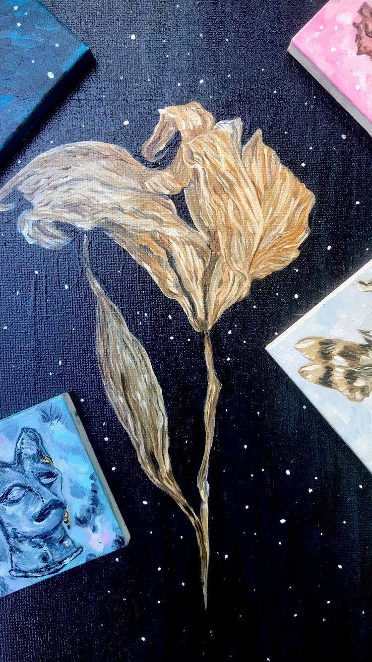 "Space Lily" Original oil painting 11x14. Peeks of other original paintings, all art by Jessica Gallardo